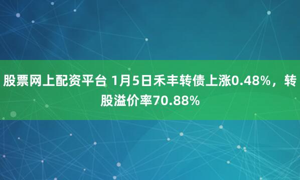 股票网上配资平台 1月5日禾丰转债上涨0.48%，转股溢价率70.88%